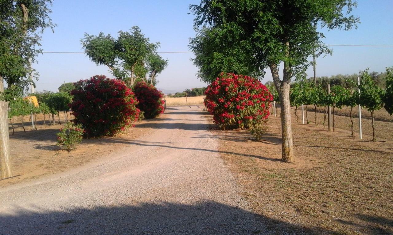 Вілла Monolocale Con Giardino Кастільйоне-делла-Пеская Екстер'єр фото